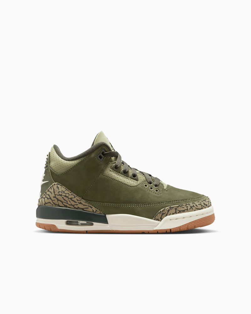 Jordan Air Jordan 3 Retro "Family Affair" (GS)
