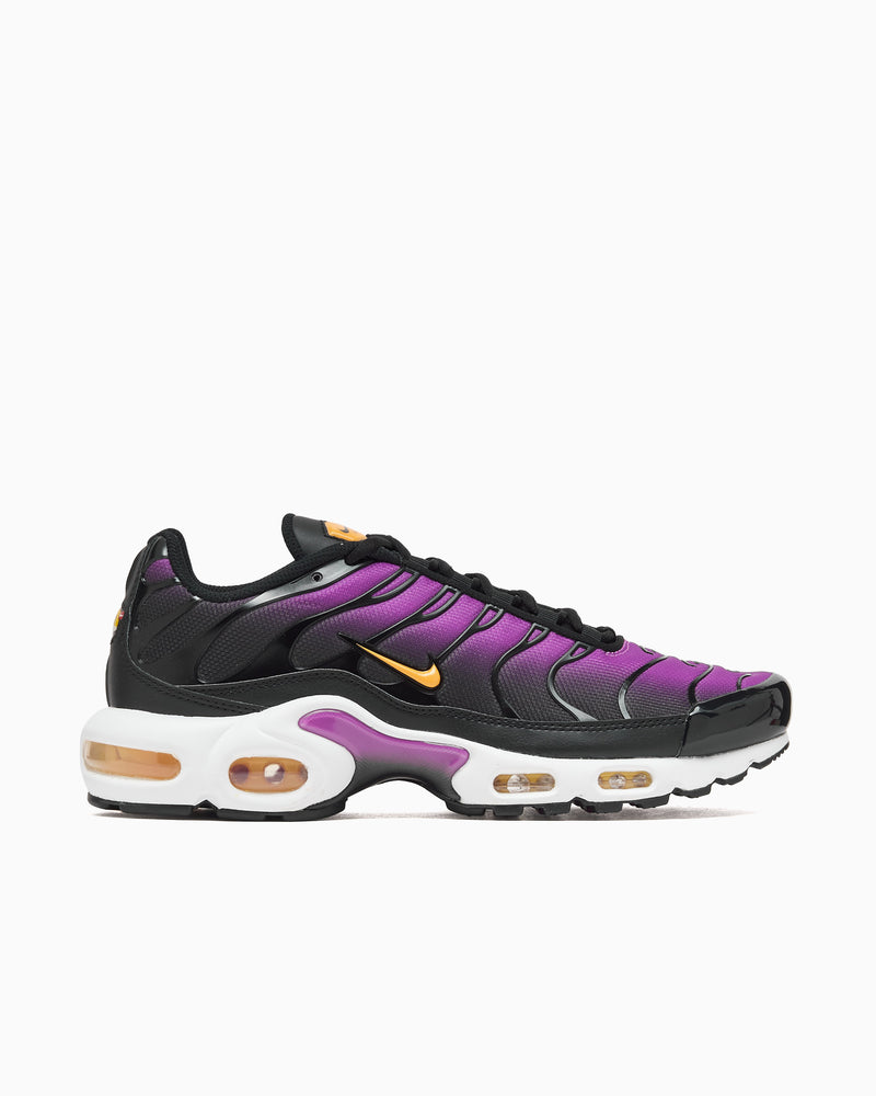 Nike Air Max Plus "Gradient"