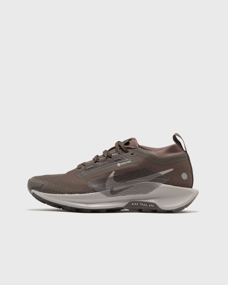 Nike WMNS Pegasus Trail 5 GTX